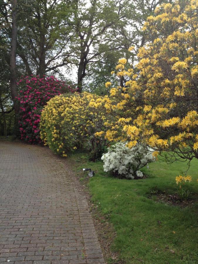 The Garth Guest Suite Studio Cottage Lingfield Exteriör bild
